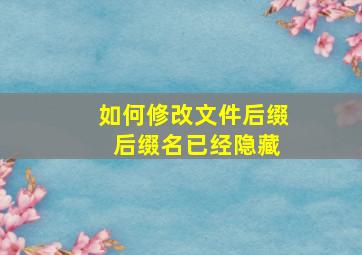 如何修改文件后缀 后缀名已经隐藏